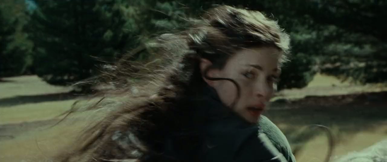 The Lord of the Rings: The Fellowship of the Ring Screenshot