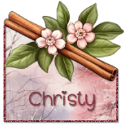 bb Christypnkwntrava