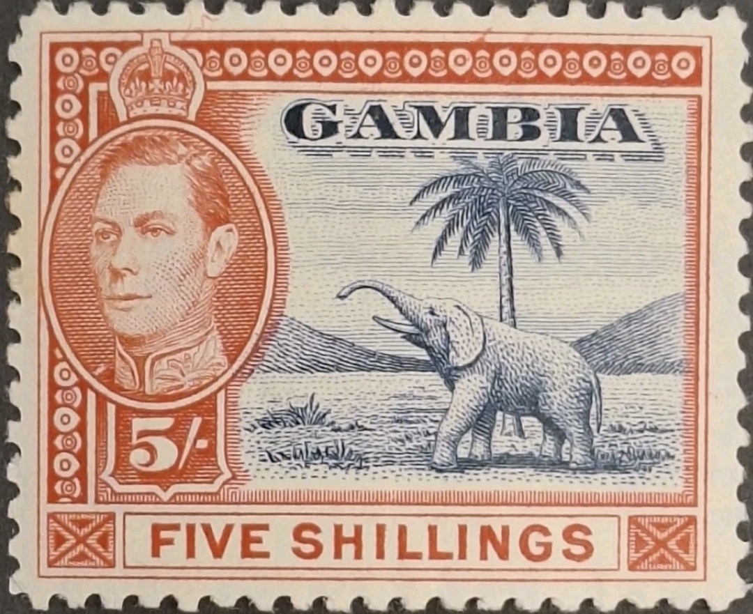 https://i.ibb.co/qLLbqV0N/1-an1aab.jpg