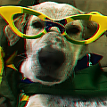 brasilhexa icons 9.png