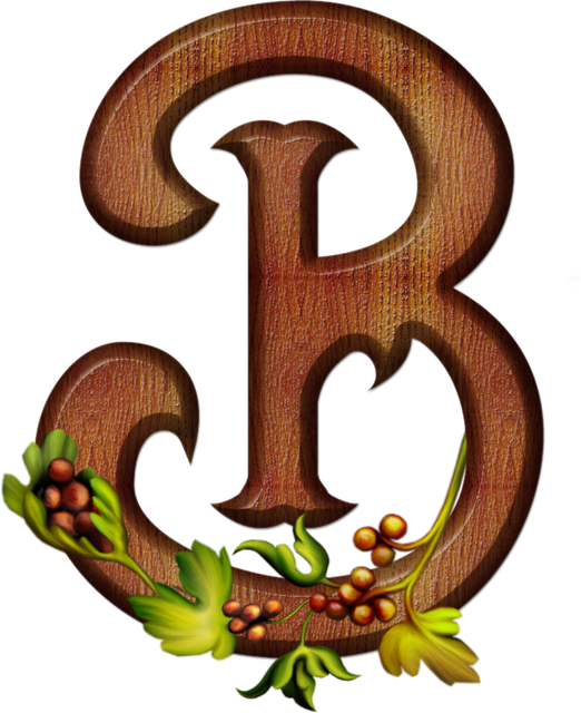 B 541715