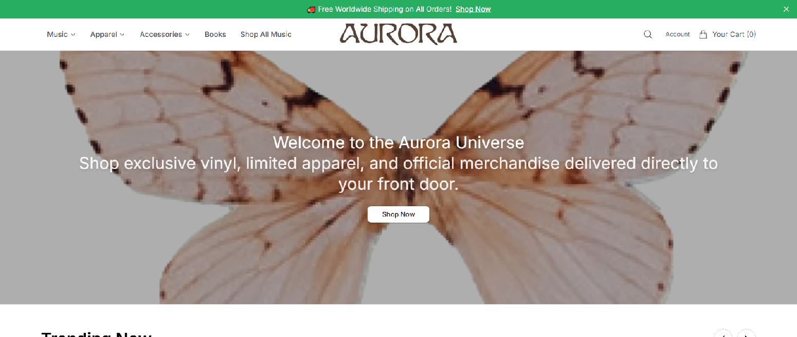 Stored capture of auroramusicdirect.shop