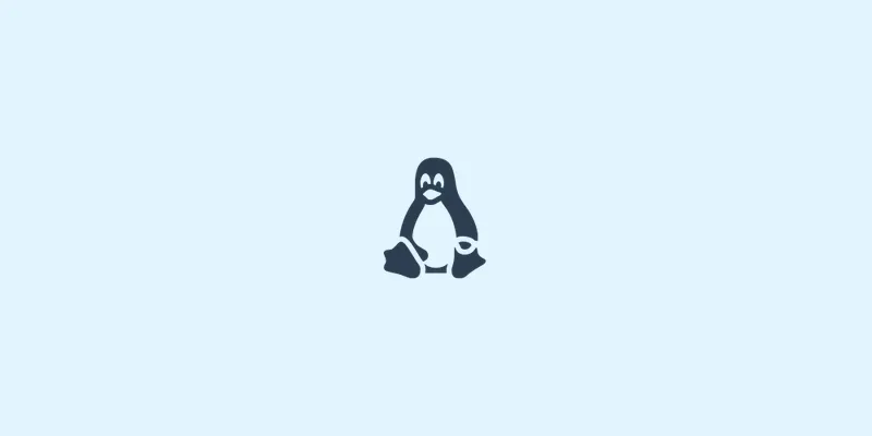 Beyond IDE: Menguak Rahasia Terminal Linux yang Wajib Dikuasai Programmer Handal