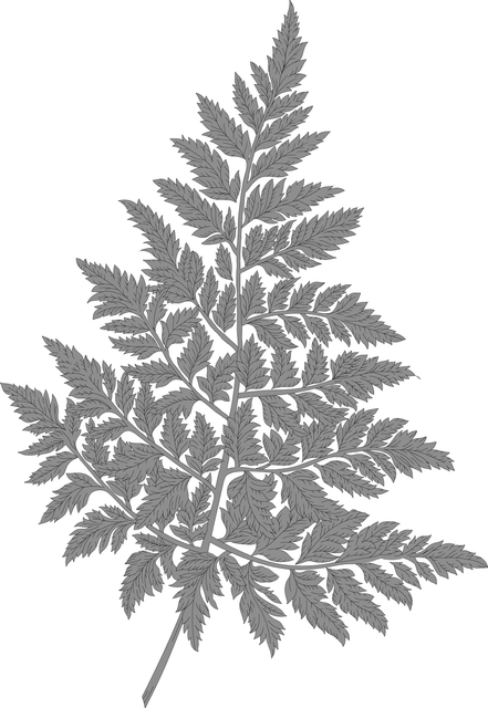 M 05.png