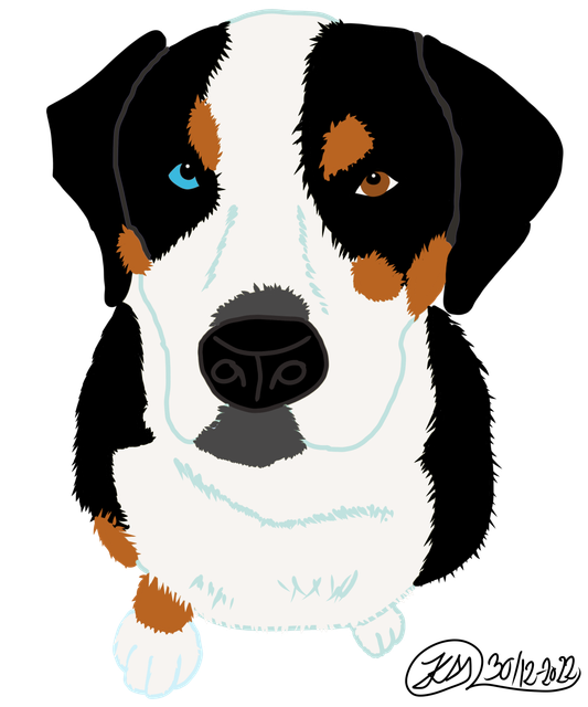 IMG-0020.png