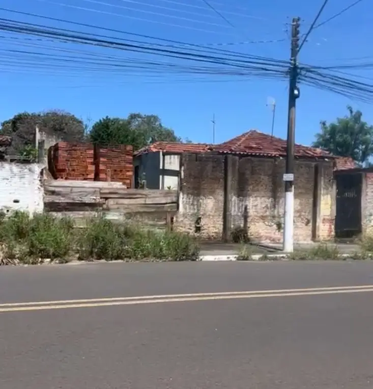 Mato Alto