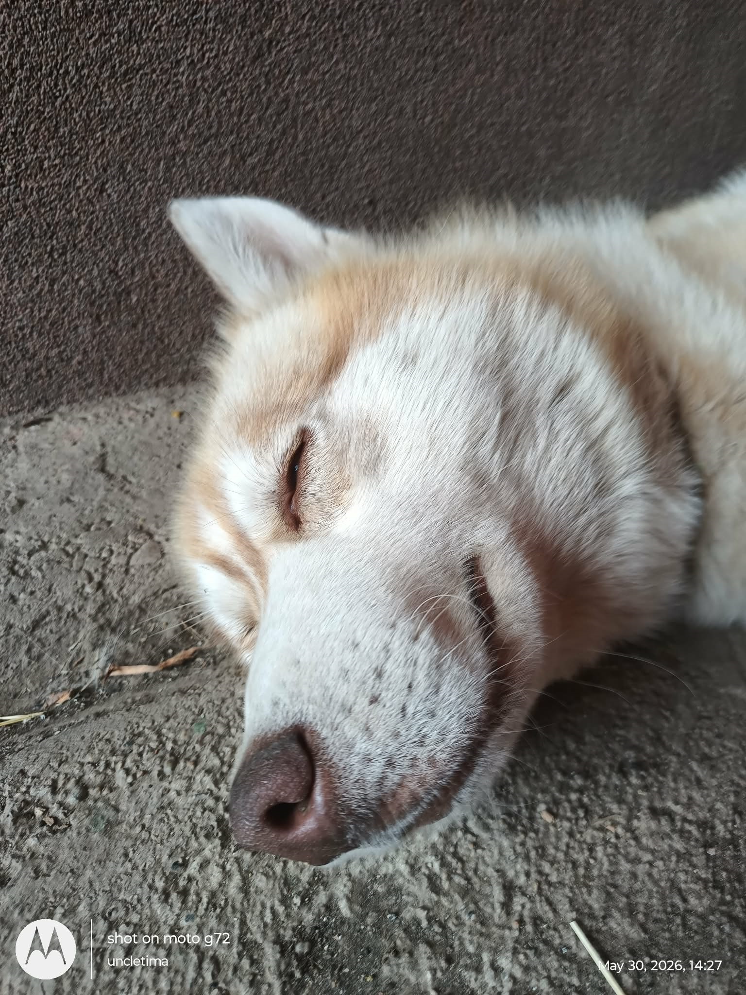 Smile.jpg
