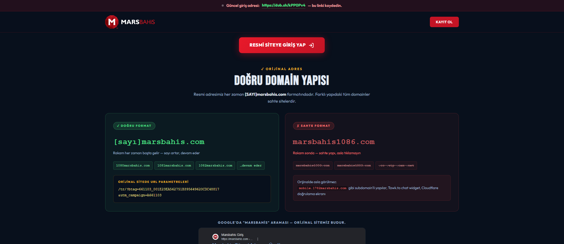 Forensic screenshot of [REDACTED] showing the phishing page layout
