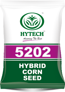 bag-5202.png
