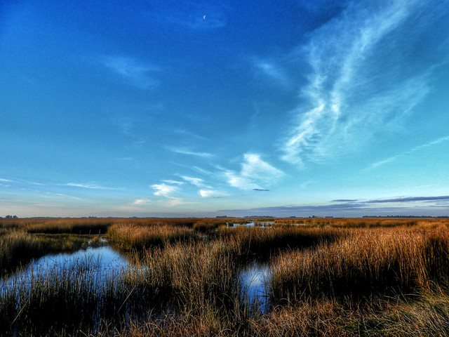 DSCN4835.jpg
