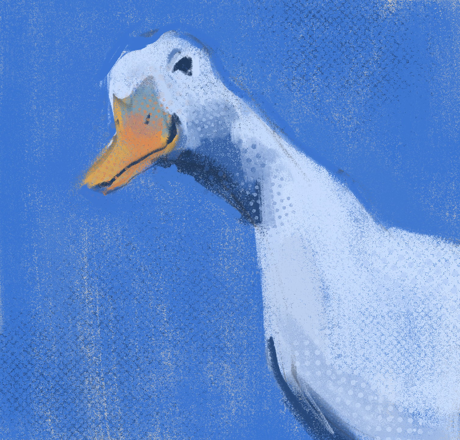 a duck