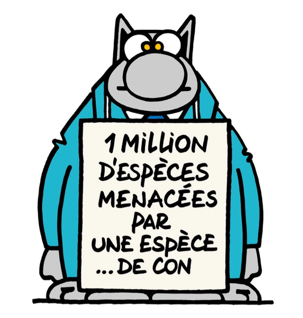 [Image: IMG-4384.png]