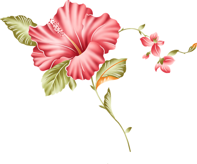 0448f92ed5131e XL.png