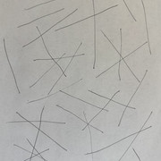 IMG 2503