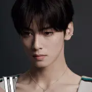 cha eun woo 1249052