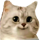 https://i.ibb.co/qLr8x4bF/3.png