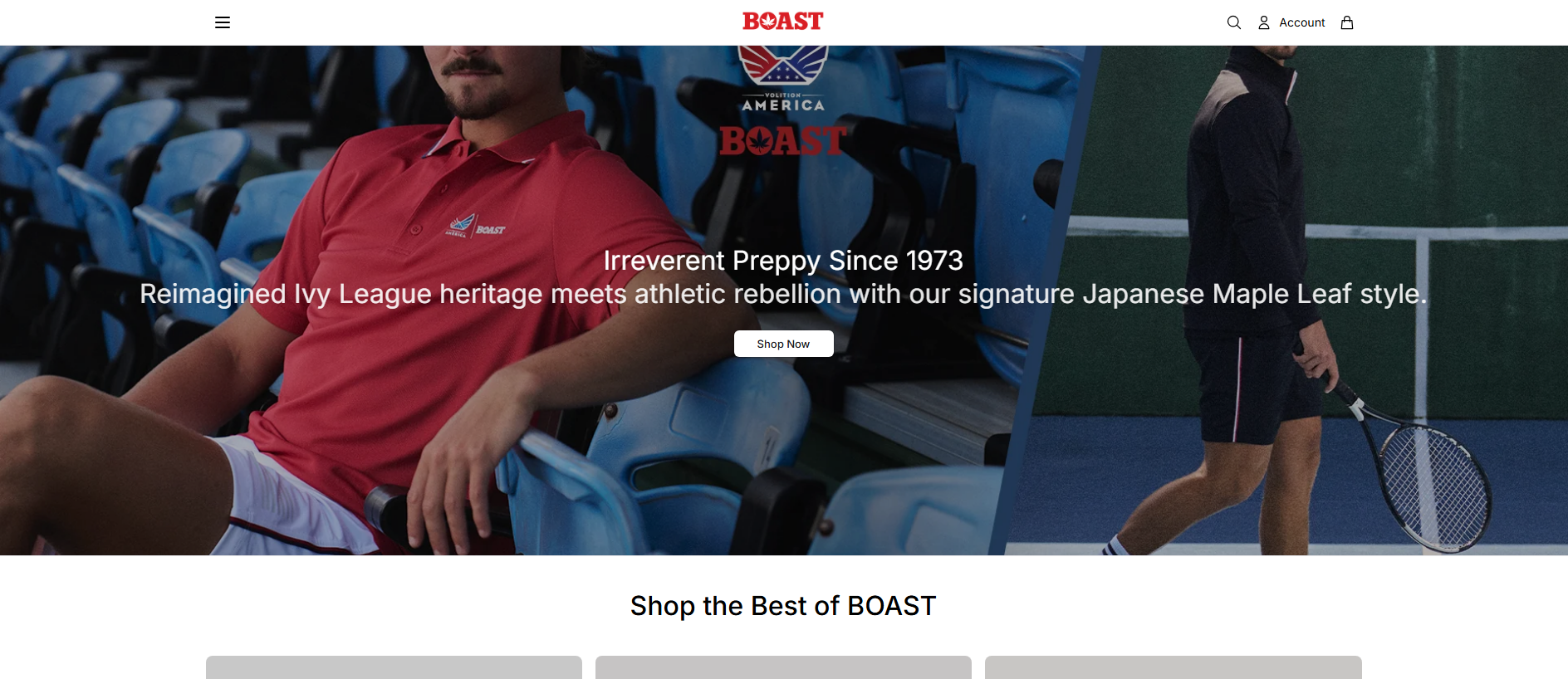 Stored capture of boastco.shop