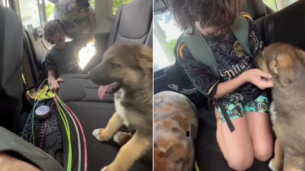 Tears of Joy as Boy Meets New Puppy