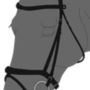 suitset1 2 1