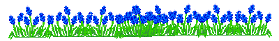 IMG-9677.png