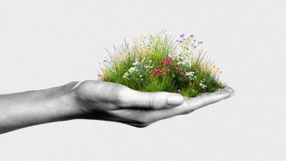 Wildflowering: Cum relațiile spontane la job îți pot propulsa cariera