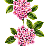 4ff3da36fd982cce0673e4a9d47e3951