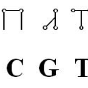 Coqtf FD