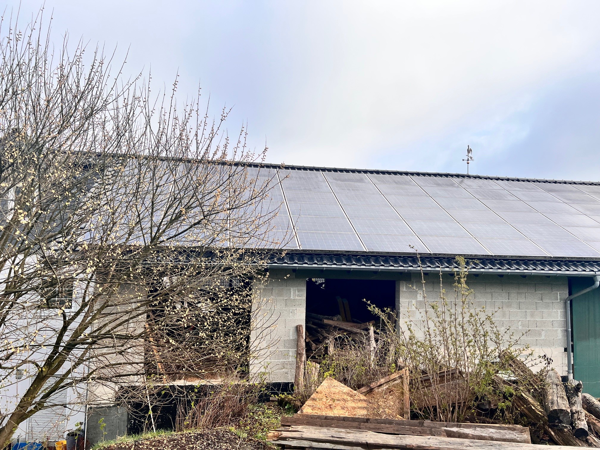 Landwirtschaftliche PV-Anlage auf einem Scheunendach – ein Baum war über Jahre direkt in die Ecke der Solarmodule gewachsen und verschattete sie dauerhaft