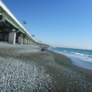 P1130591