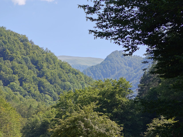 IMG20260729162602