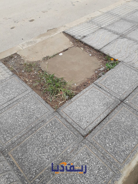 Photo 1776013760648