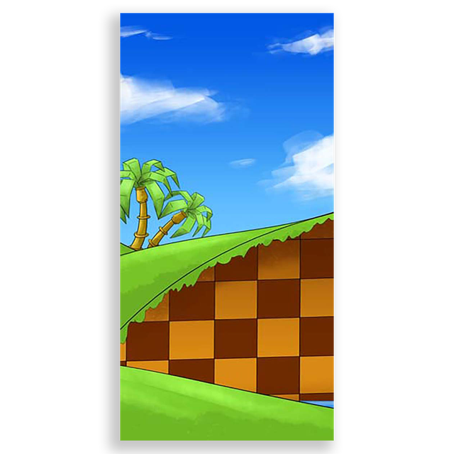 31001582-Sonic