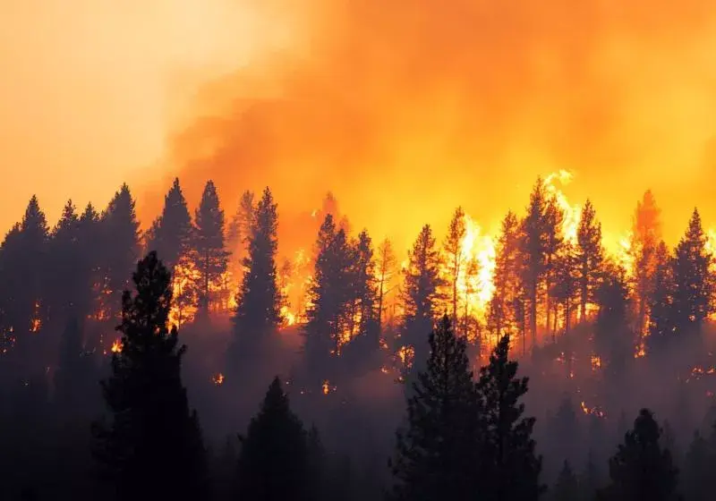 Grecia luptă cu incendiile: Sateliți de ultimă generație detectează focarele din fașă