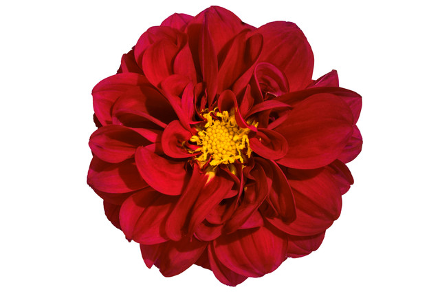 shutterstock-1496649749.jpg