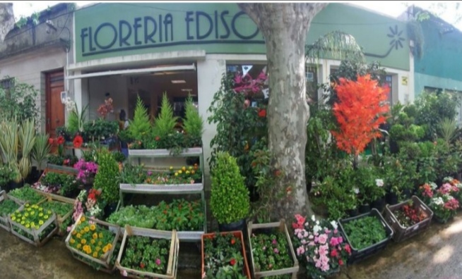 Florería Edison