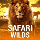 safari wilds