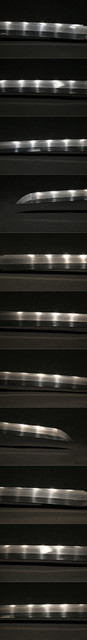 DSC6150.jpg