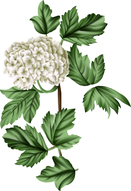 b565d998639203 5ee0c6d912617.png