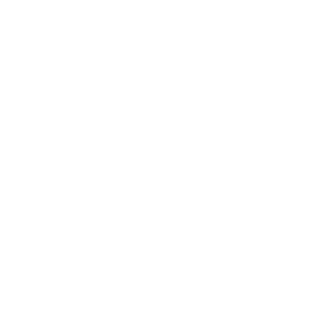 Grok AI Logo