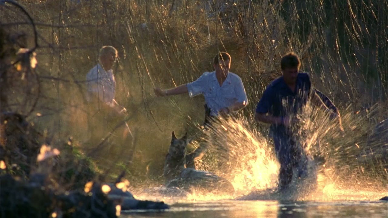 The Redemption: Kickboxer 5 Screenshot