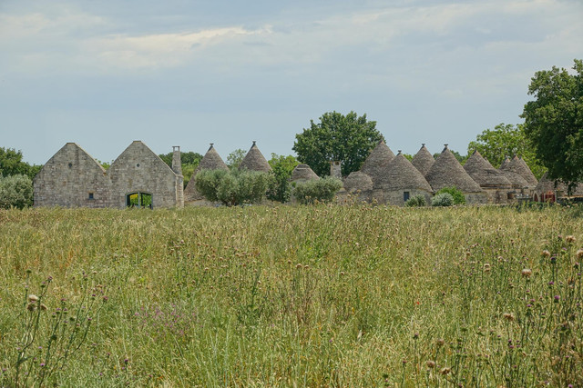 DSC00899.jpg