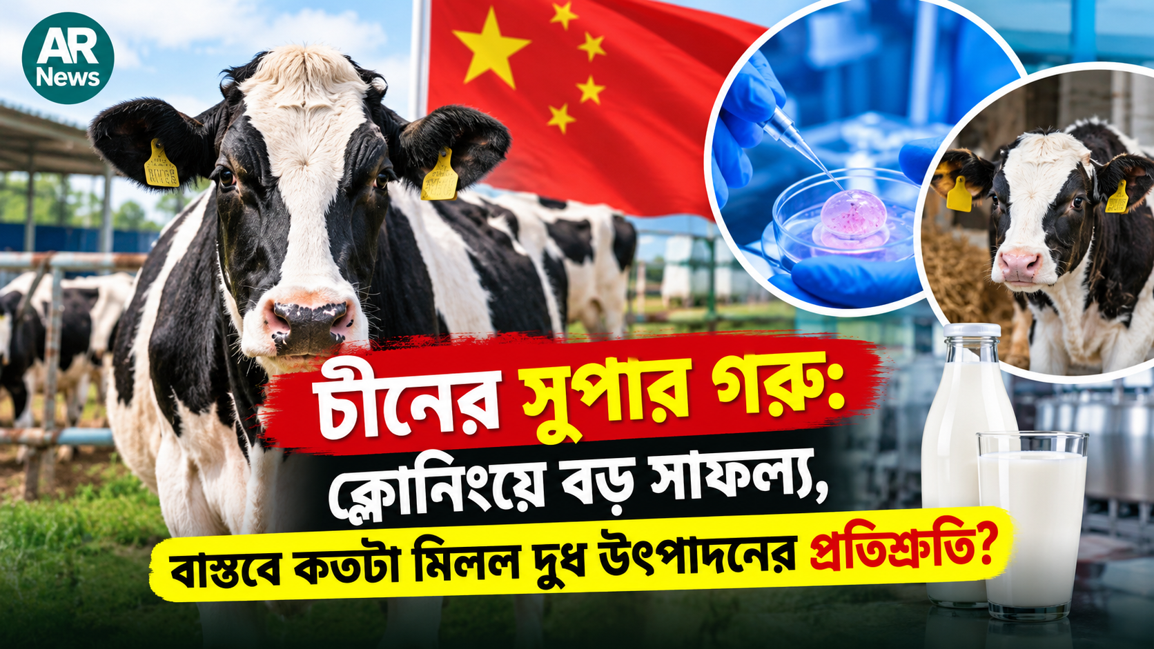চীনের সুপার গরু: ক্লোনিংয়ে বড় সাফল্য, বাস্তবে কতটা মিলল দুধ উৎপাদনের প্রতিশ্রুতি?