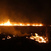 100c00055m