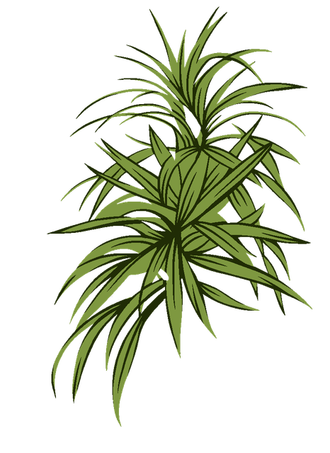 bf9f1568cac28afb6a0a2b4d68994439.png