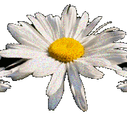 4b23ad3a352b