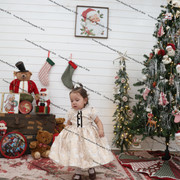IMG 4498