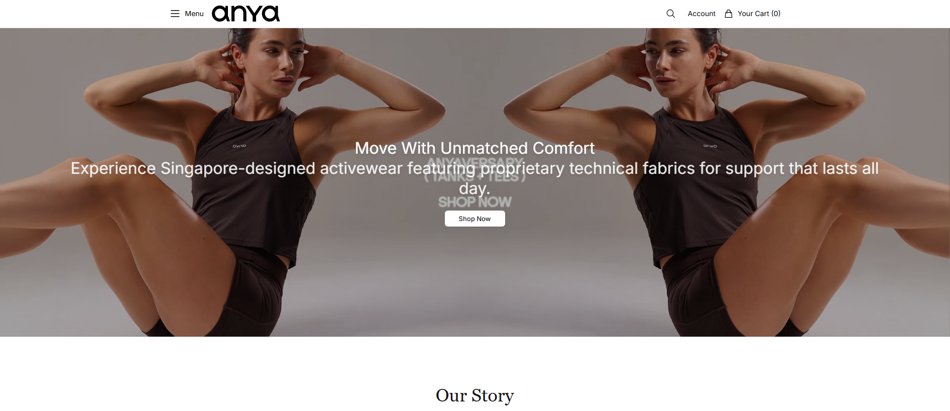 Stored capture of anyaactiveflow.shop
