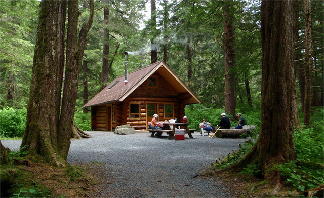 cabin forest