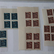 IMG-2101