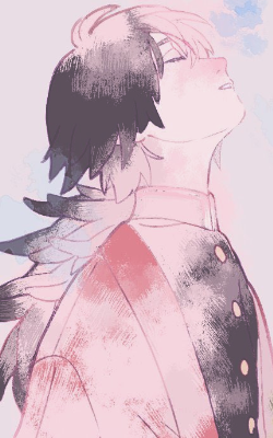 kazu12.png